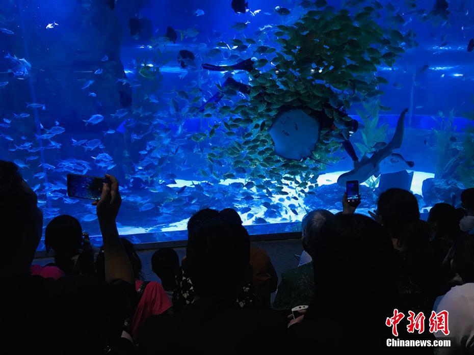 セールスマンから魚(yú)の飼育員へ！蘭州の若者の華麗なる転職　甘粛省