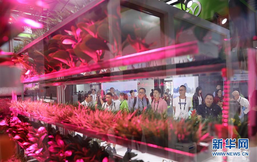 環(huán)境制御農(nóng)業(yè)技術(shù)の野菜栽培システムを見(jiàn)つめる來(lái)場(chǎng)者。