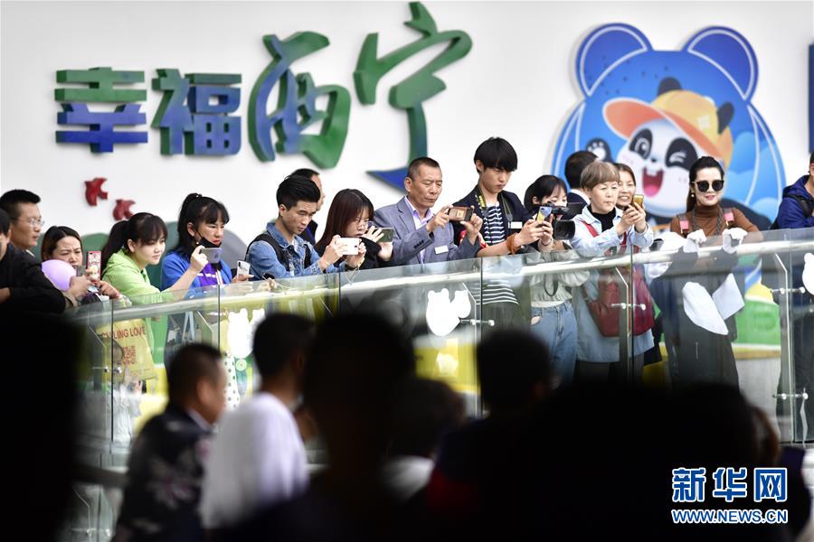 青海省の西寧パンダ館が一般開放へ　パンダはすでに高原の気候に適応