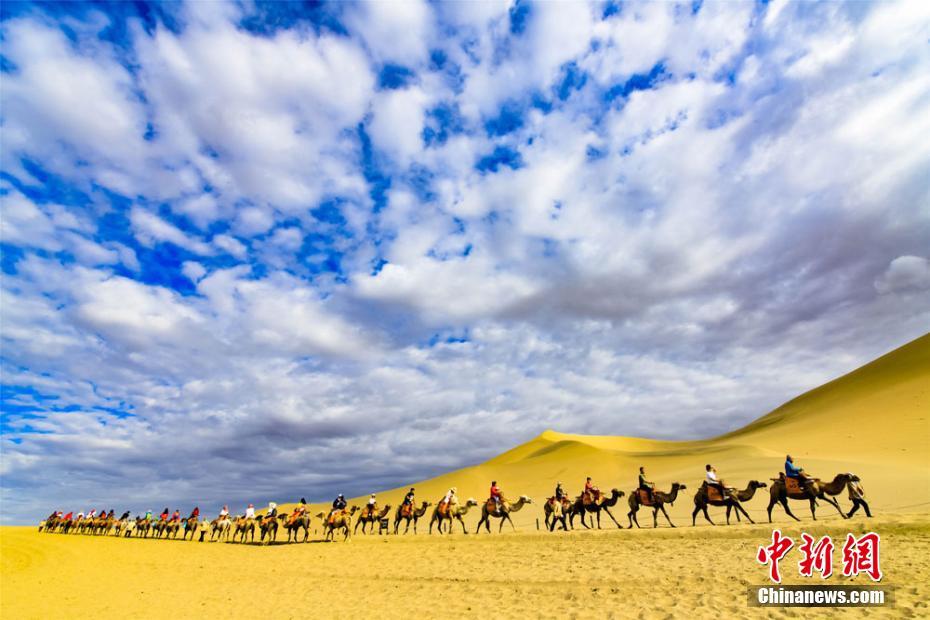 雨上がりの敦煌?鳴沙山　夕日の中をラクダが行く絵のような景色　甘粛省