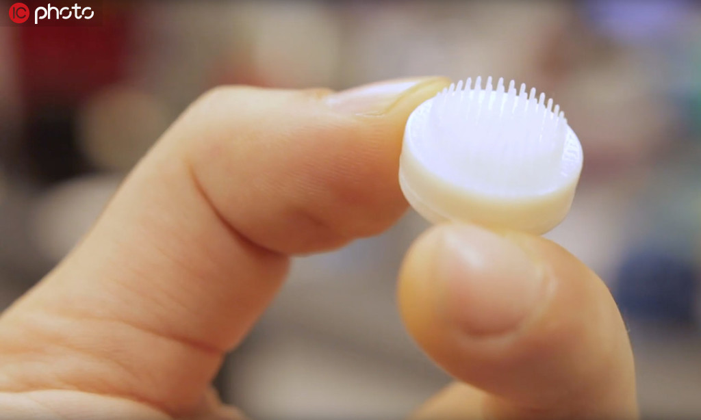 3Dプリンターで作り上げた毛包の成長を促す三次元構(gòu)造（寫真著作権は東方ICが所有のため転載禁止）。 