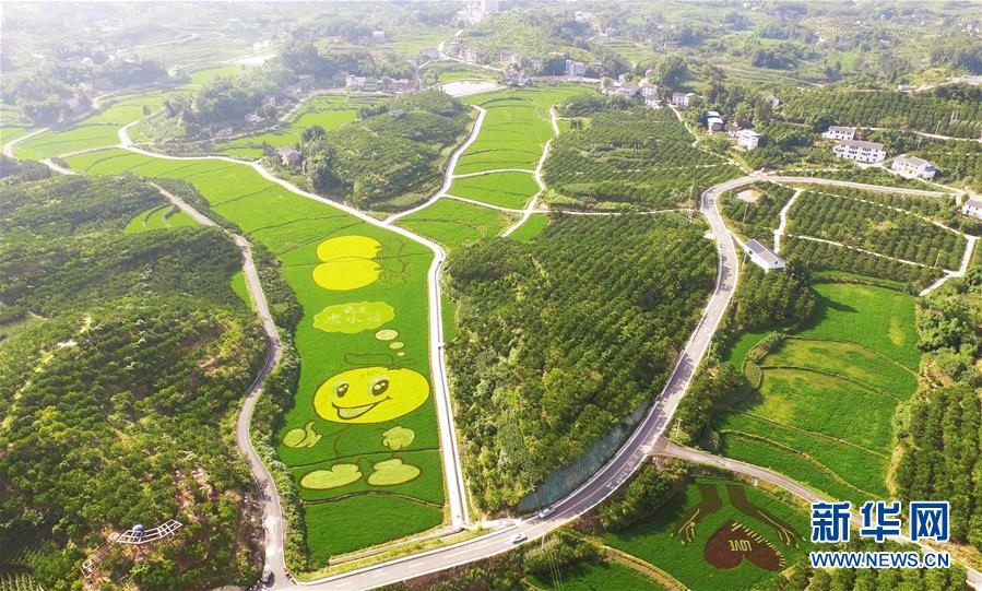 色鮮やかな「田んぼアート」が彩る美しい農(nóng)村　重慶市忠県