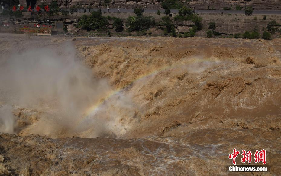 増水期迎え水流逆巻く黃河?壺口瀑布