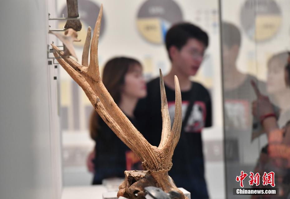 5千年の文明の歴史感じよう！世界遺産登録決まった良渚博物院　浙江省