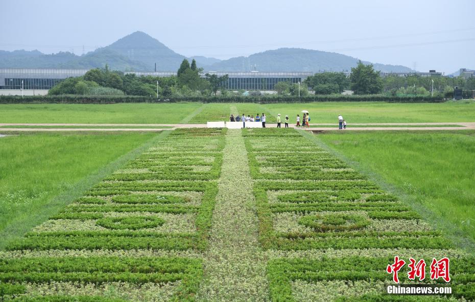 世界遺産登録で人気高まる良渚古城遺跡公園　1日3千人に入場(chǎng)制限