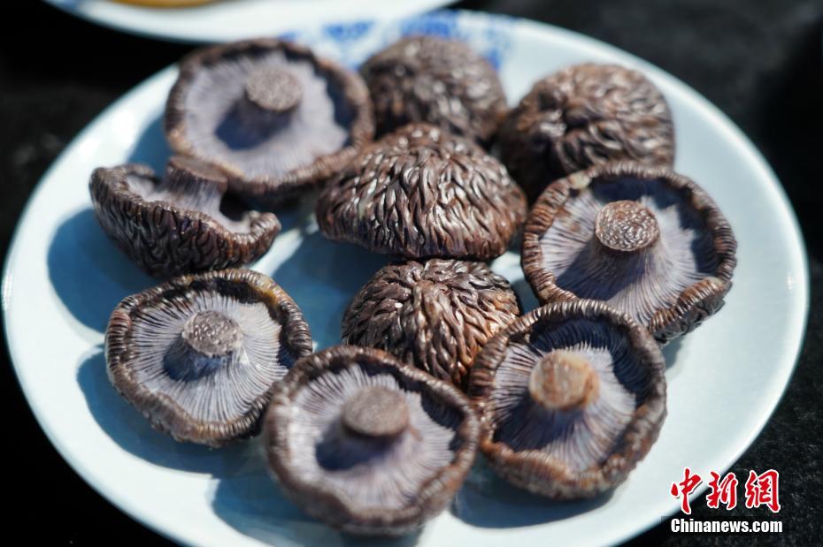 思わず手を伸ばし食べたくなる？本物ソックリな「石の宴」雲(yún)南省