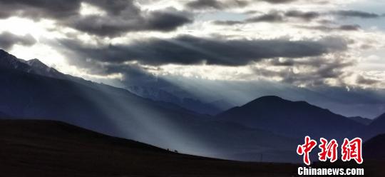 翡翠のごとき草原に點(diǎn)在する牛と羊　甘粛省南部の7月