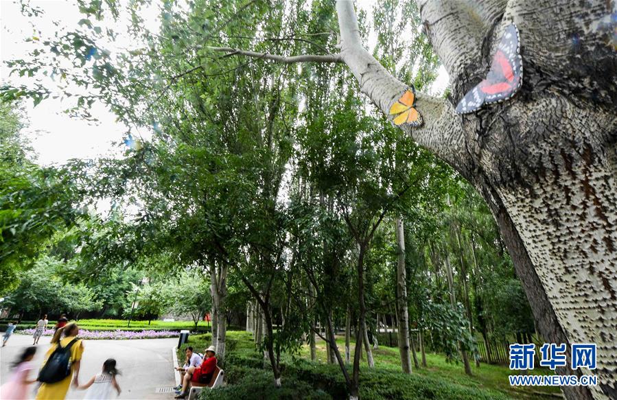 今にも動き出しそう？樹木に描かれた動物たち　吉林長春動植物園