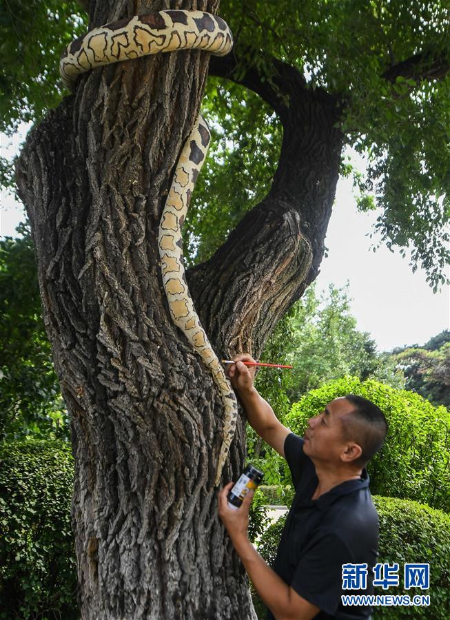 今にも動(dòng)き出しそう？樹木に描かれた動(dòng)物たち　吉林長春動(dòng)植物園