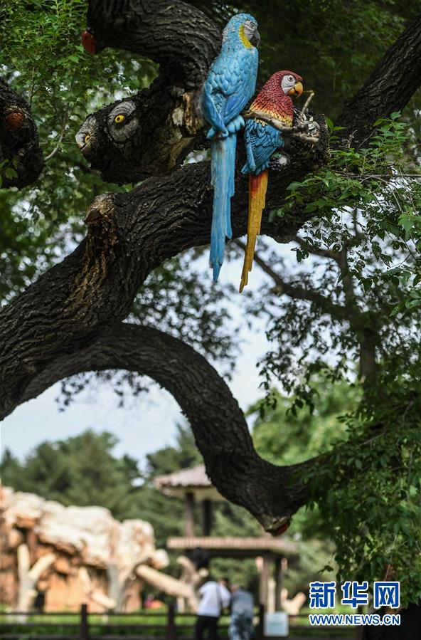 今にも動(dòng)き出しそう？樹木に描かれた動(dòng)物たち　吉林長春動(dòng)植物園