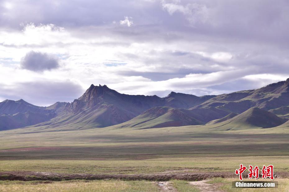 四季の風景を同じフレームに　甘粛省塩池灣國家級自然保護區(qū)