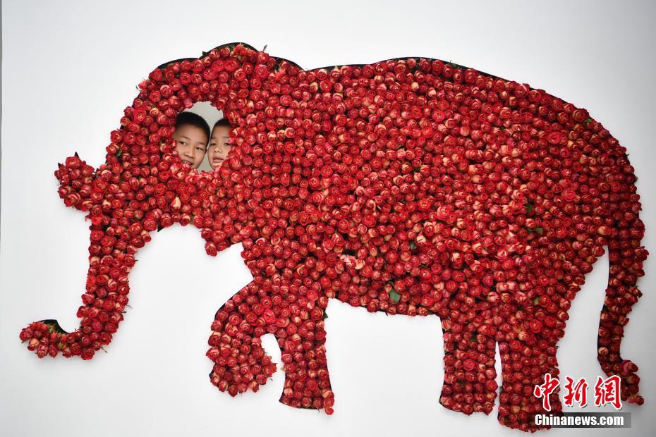 會場を埋め盡くす色鮮やかな花々　第20回中國昆明國際花卉展開幕