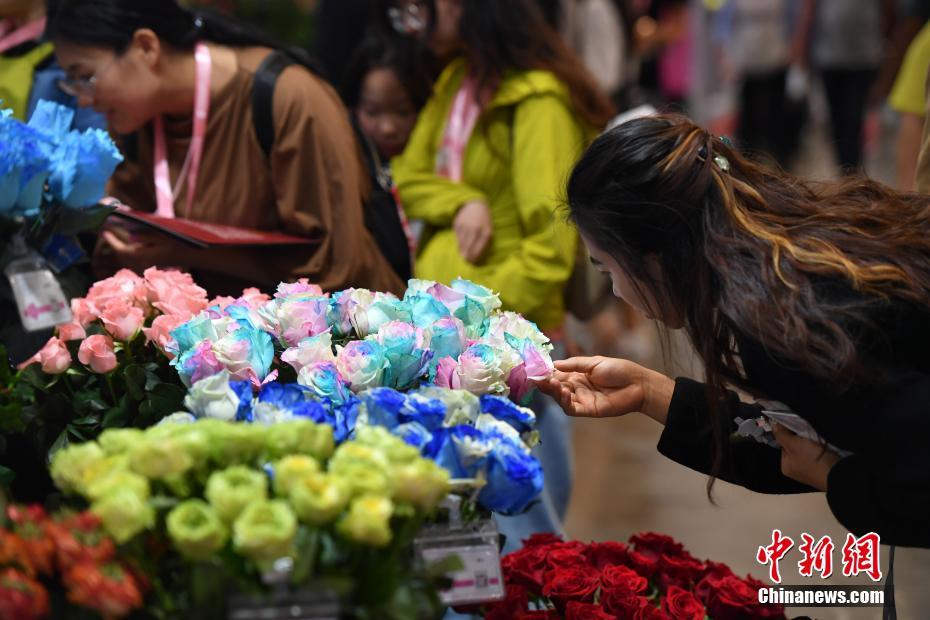 會場を埋め盡くす色鮮やかな花々　第20回中國昆明國際花卉展開幕