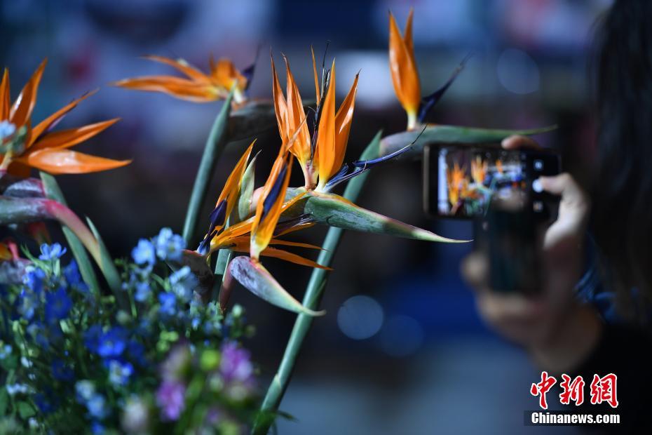 會(huì)場(chǎng)を埋め盡くす色鮮やかな花々　第20回中國(guó)昆明國(guó)際花卉展開(kāi)幕