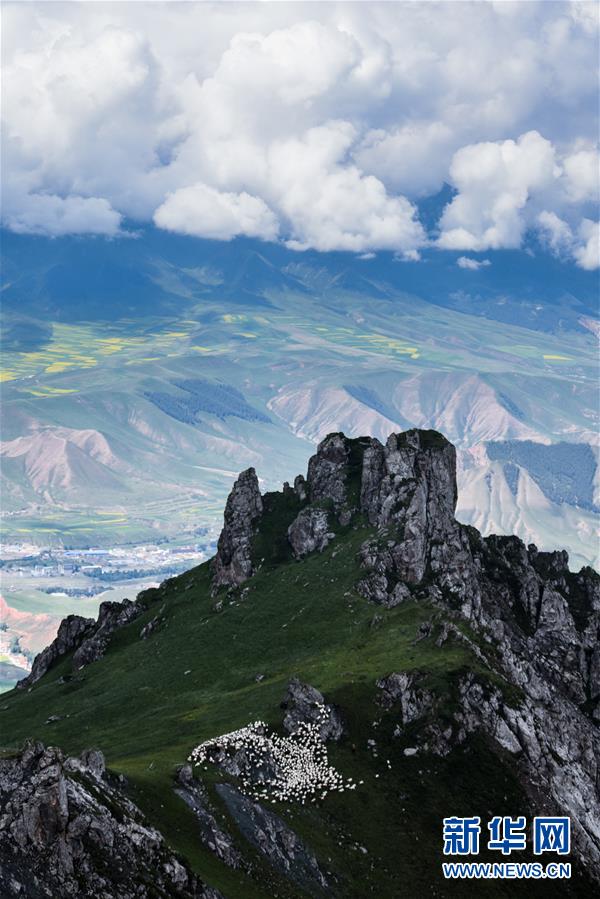 「天境祁連」の山々と草原に訪れた夏 青海省