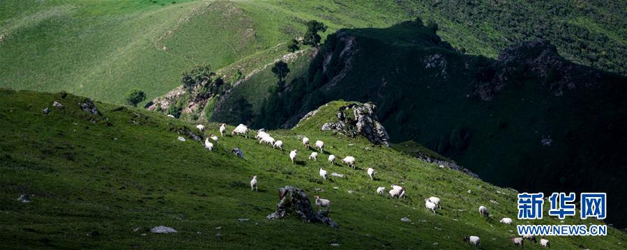 「天境祁連」の山々と草原に訪れた夏 青海省