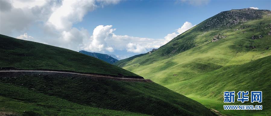 「天境祁連」の山々と草原に訪れた夏 青海省