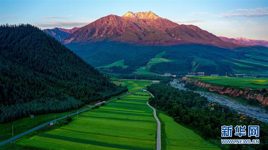 「天境祁連」の山々と草原に訪れた夏 青海省