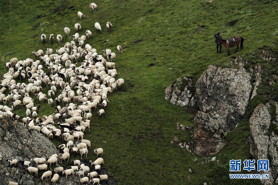 「天境祁連」の山々と草原に訪れた夏 青海省