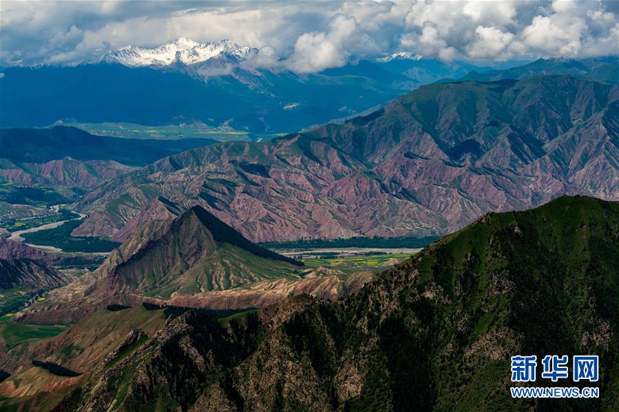 「天境祁連」の山々と草原に訪れた夏 青海省