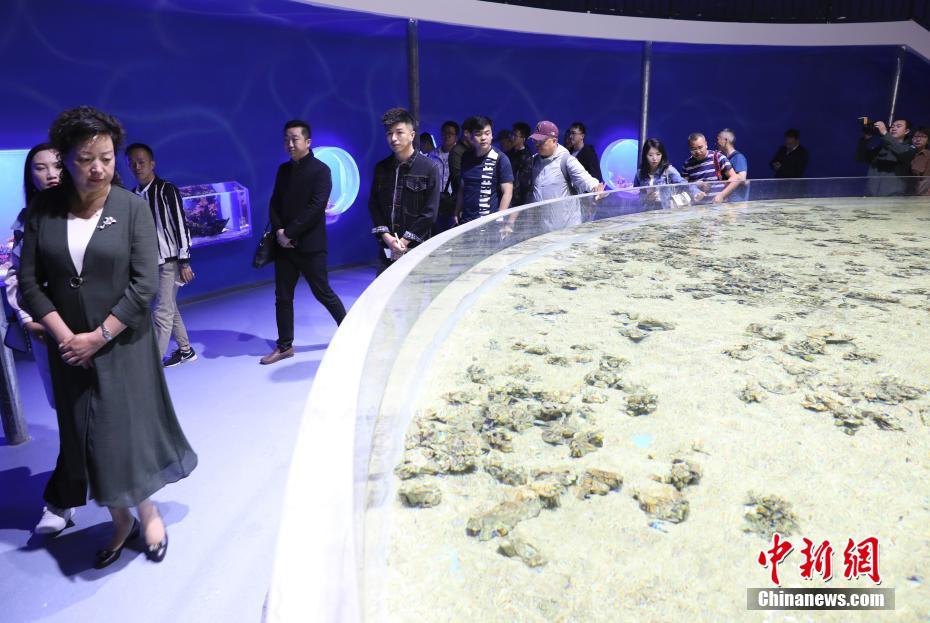 世界で海抜が最も高い総合大型水族館が間もなくオープン