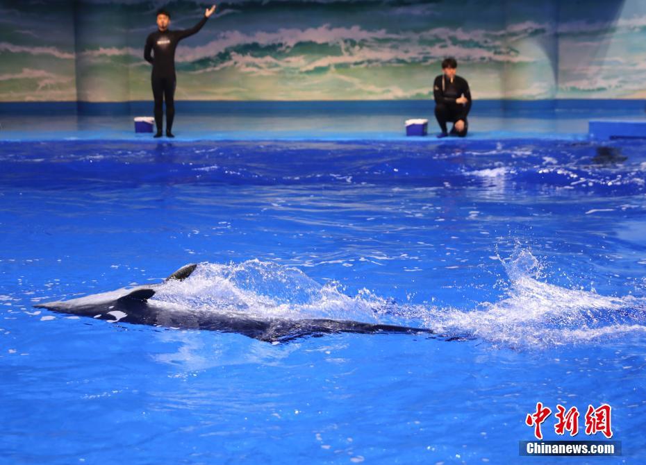 世界で海抜が最も高い総合大型水族館が間もなくオープン