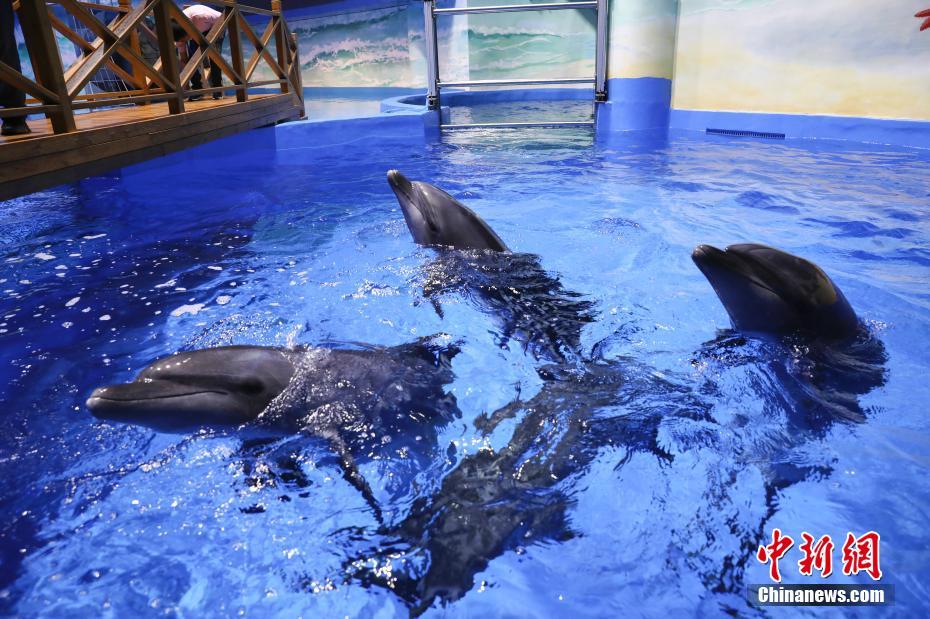 世界で海抜が最も高い総合大型水族館が間もなくオープン