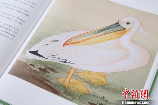 中國版「ファンタビ」？「故宮のなかの博物學」発行