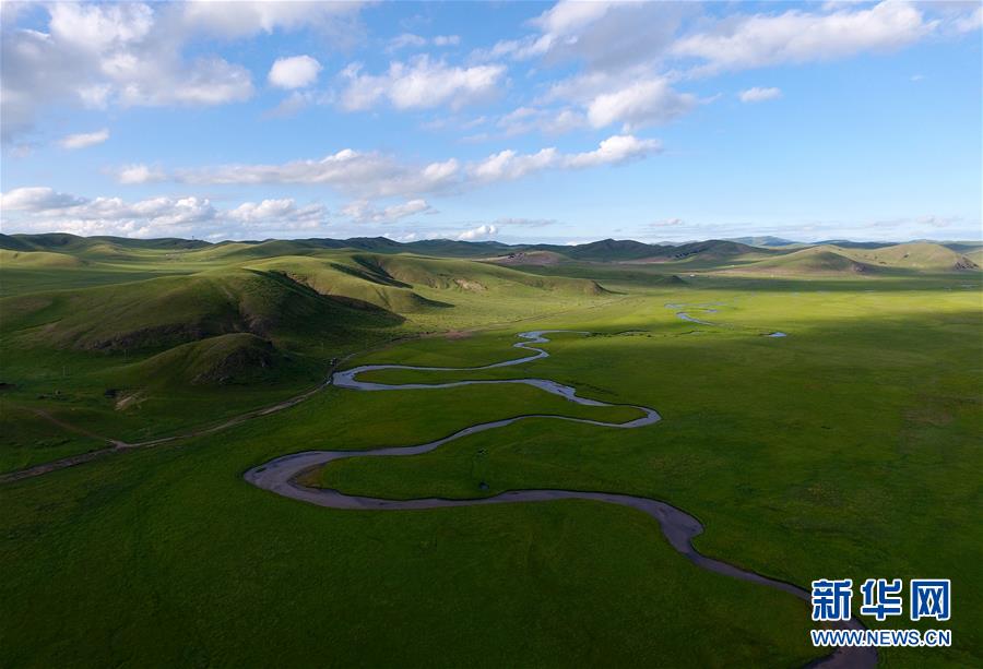 美しい西烏珠穆沁（ウジムチン）旗白彥花鎮(zhèn)阿拉騰興安嘎査乃林河草原の景色（7月23日ドローンで撮影?劉磊）。