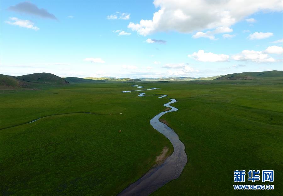 絵のように美しい夏のシリンゴル草原