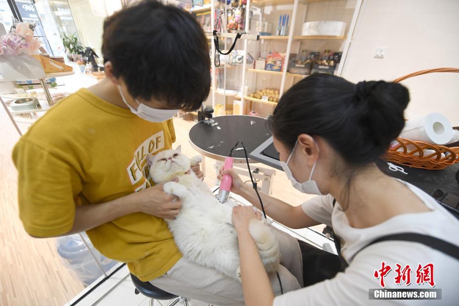 南寧にペットホテル　「うちの子」にも星級サービスを