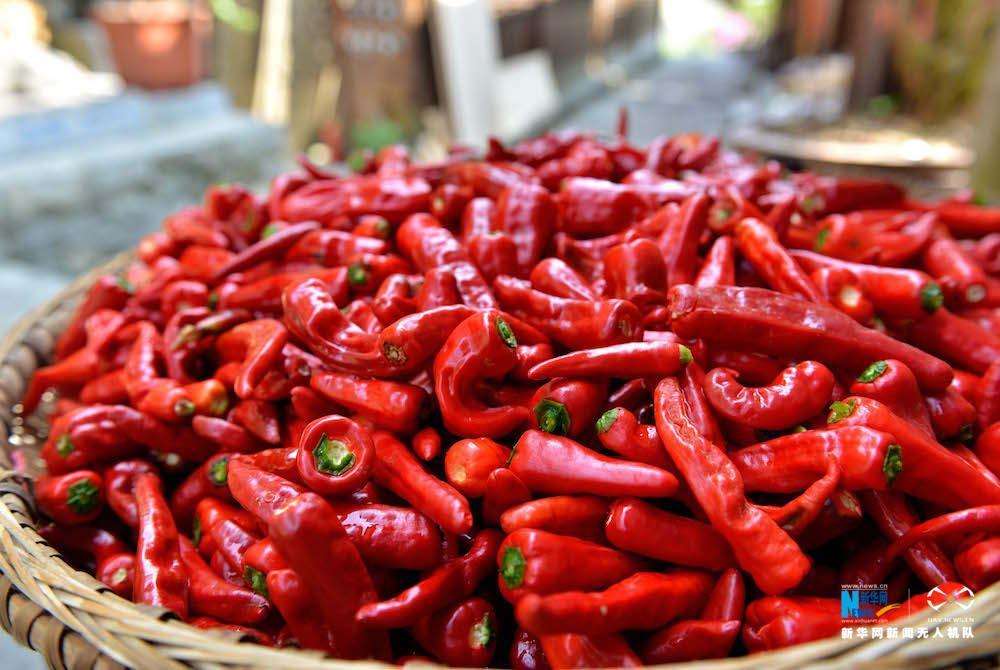 日常的に摂取していると認(rèn)知癥のリスクが倍増するとの研究結(jié)果が出たトウガラシ。