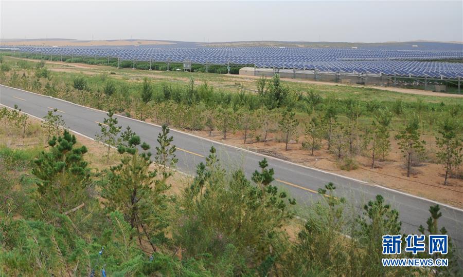 內(nèi)モンゴルのクブチ砂漠、 生態(tài)文明の花が咲く