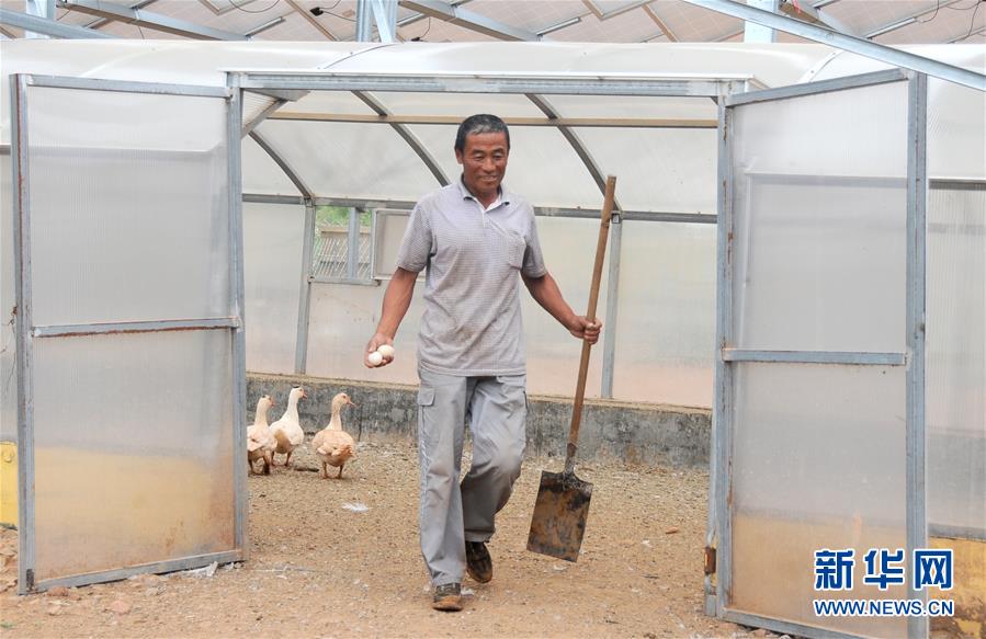 內(nèi)モンゴルのクブチ砂漠、 生態(tài)文明の花が咲く