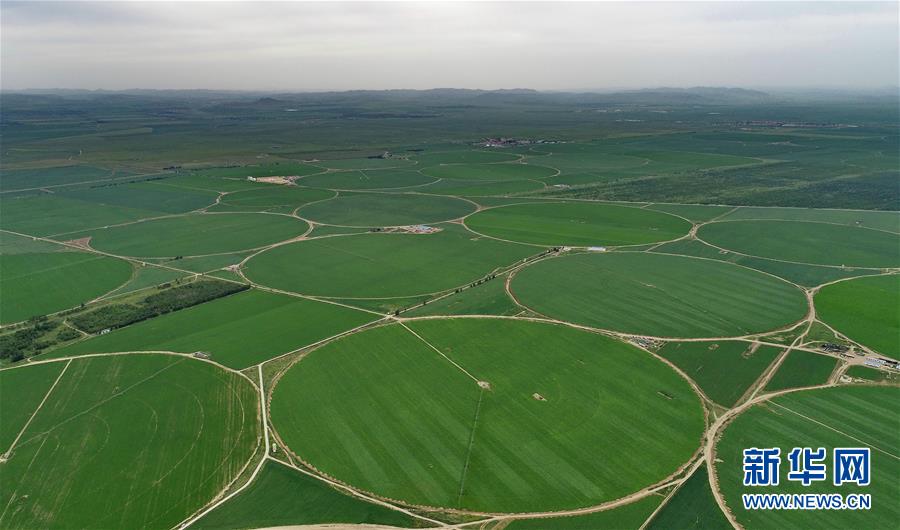 節(jié)水灌漑により現(xiàn)代農(nóng)業(yè)の発展を促進(jìn)　河北省