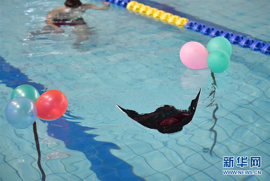 中國が新型の自律型潛水機を開発、オニイトマキエイの動きを模倣