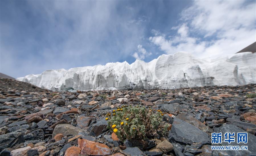 今にも流れ落ちてきそうな勢い見せる拉布拉氷河　チベット