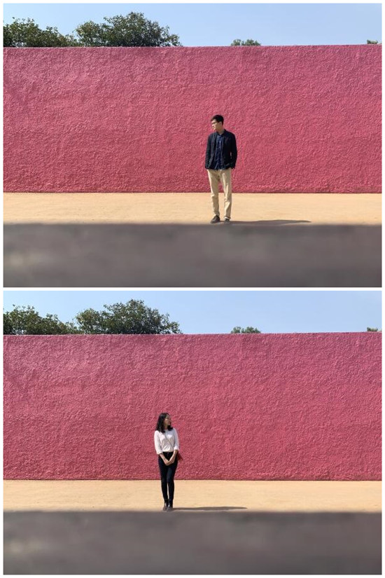 ノートルダム大聖堂屋根設(shè)計(jì)コンペで中國(guó)人建築士が優(yōu)勝