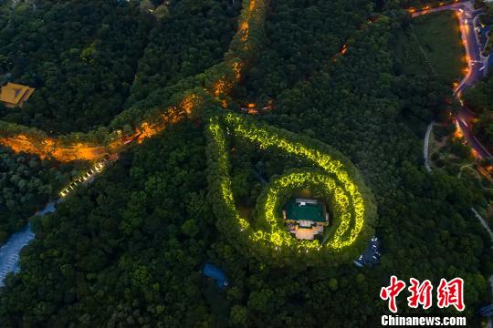 南京?紫金山蛍光ランが美齢宮を「點(diǎn)す」 江蘇省