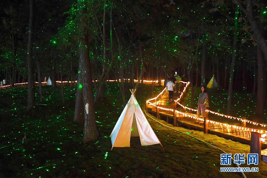 「ナイトタイムエコノミー」が中國経済の新たな活力源に