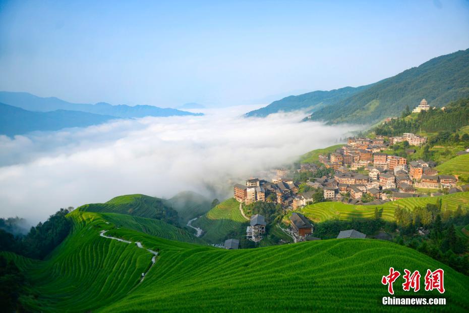 8月19日、広西壯（チワン）族自治區(qū)桂林市竜勝各族自治県にある竜脊棚田で見られた雲(yún)海（撮影?潘志祥）。