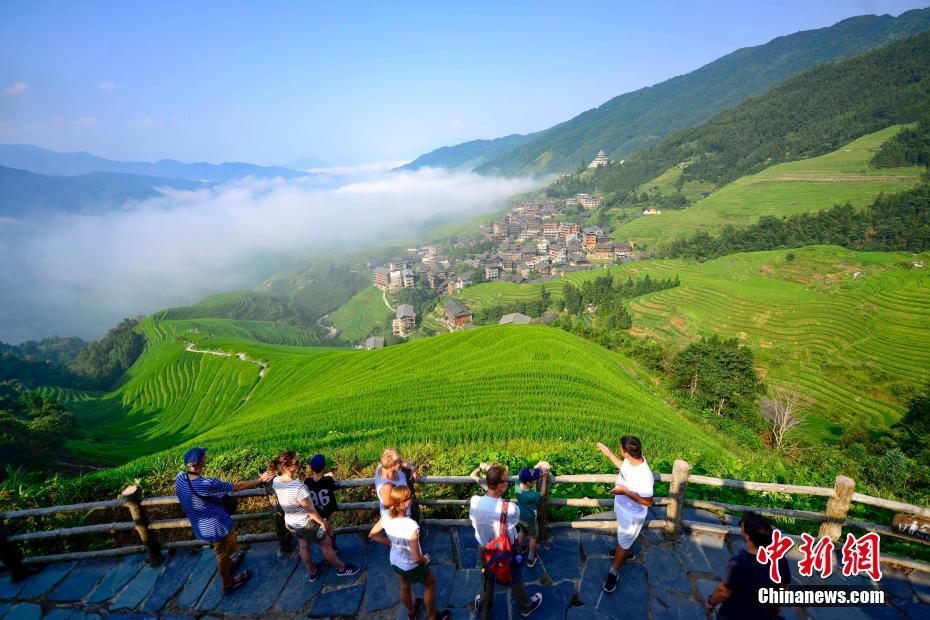 段々畑に雲(yún)海がたなびく絵畫のような風(fēng)景　広西?竜勝