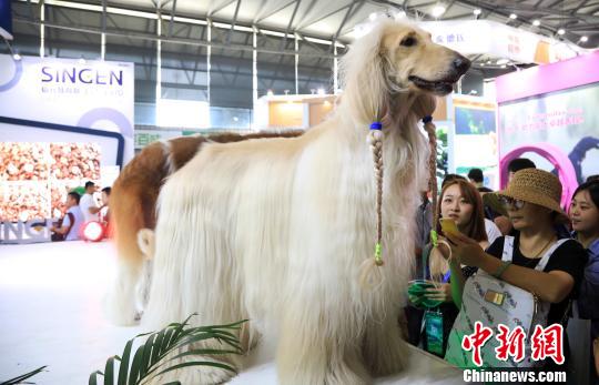 第22回アジアペットフェアが上海で開幕　過去最大規(guī)模