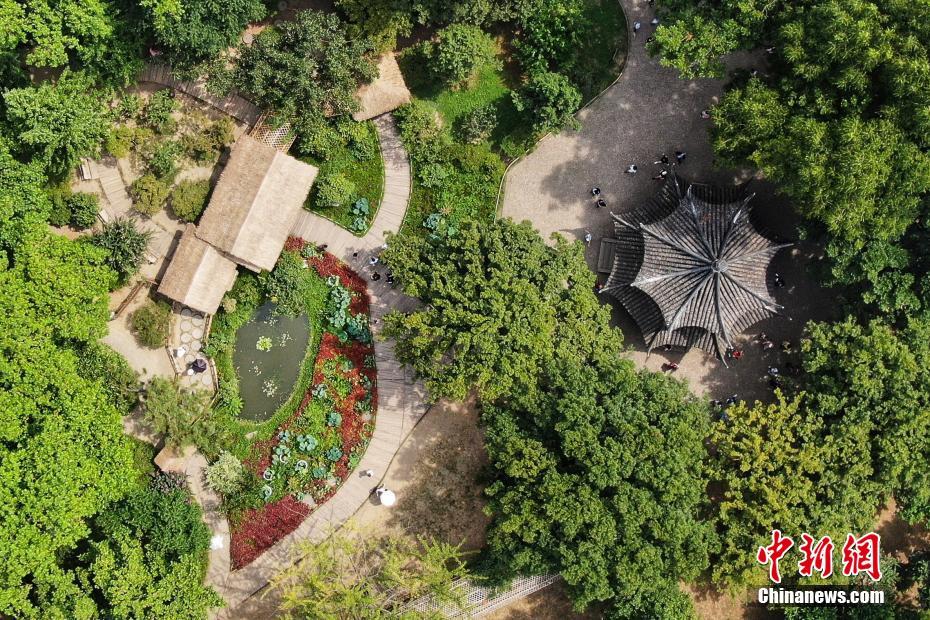 空から見(jiàn)た中國(guó)四大名園?蘇州「拙政園」　江蘇省