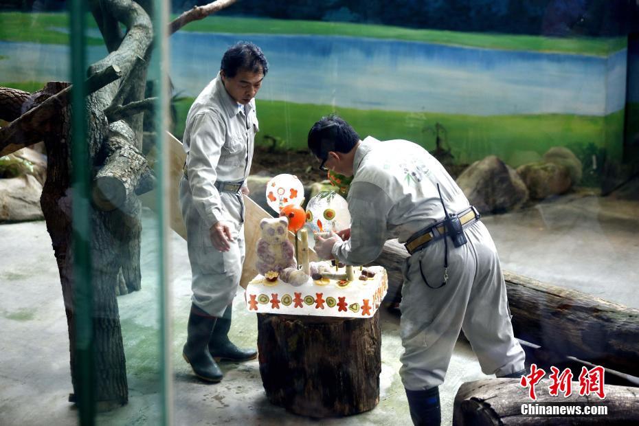 臺北市動物園でパンダの「団団」と「圓圓」の誕生會