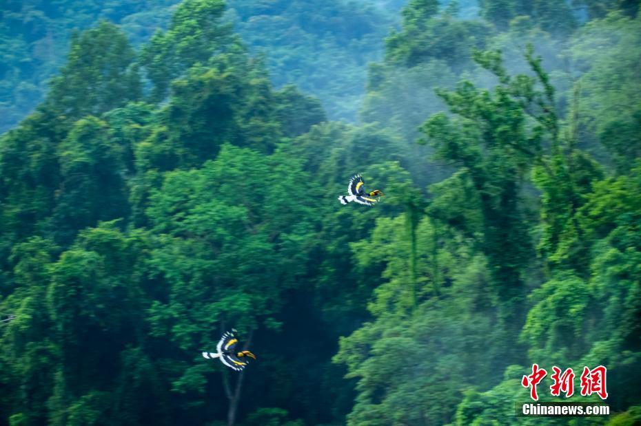 幻想的な美しさ広がる雲(yún)南省徳宏