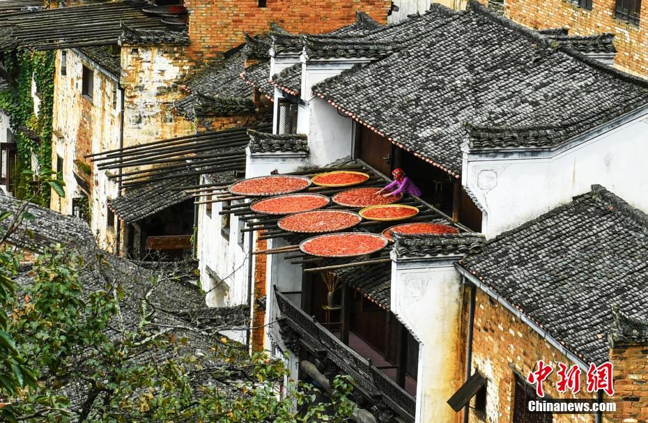 「秋の天日干し」の季節(jié)迎えた篁嶺村　江西省