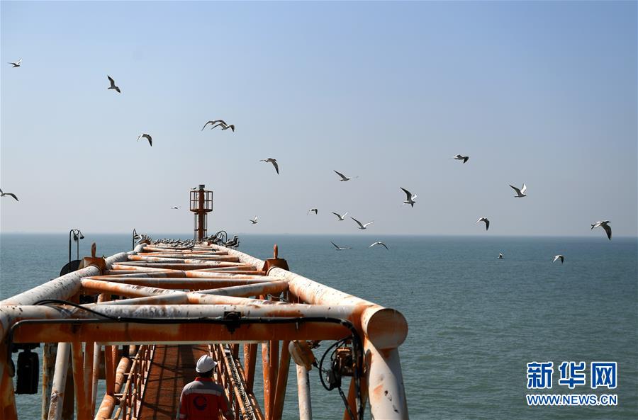 渤海灣の埕北油田石油プラットフォームを訪ねて