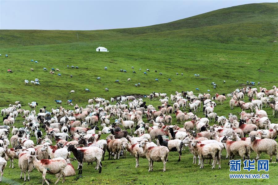 美しい中國の雄大な自然の風景をピックアップ！
