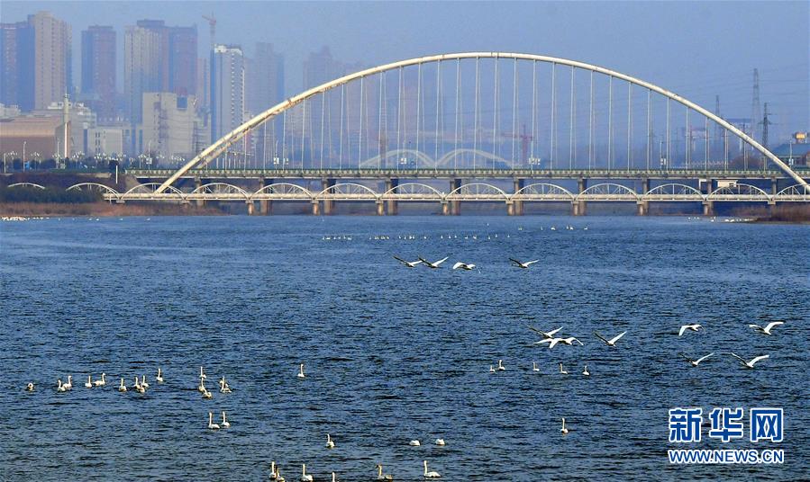 美しい中國の雄大な自然の風景をピックアップ！